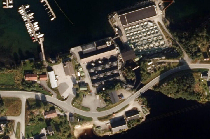 Måtte destruere 300 000 fisk