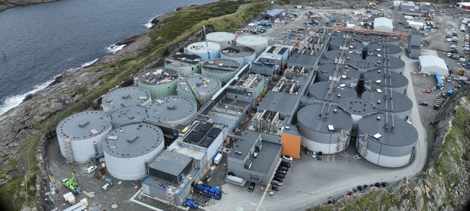 Fase 2 tar form: Alle kar reist på Indre Harøy