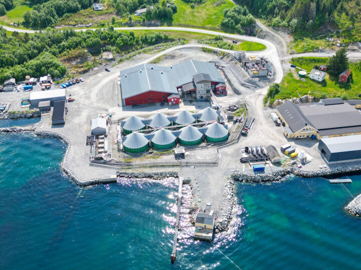 Satser fullt på torsk etter berggylte-exit