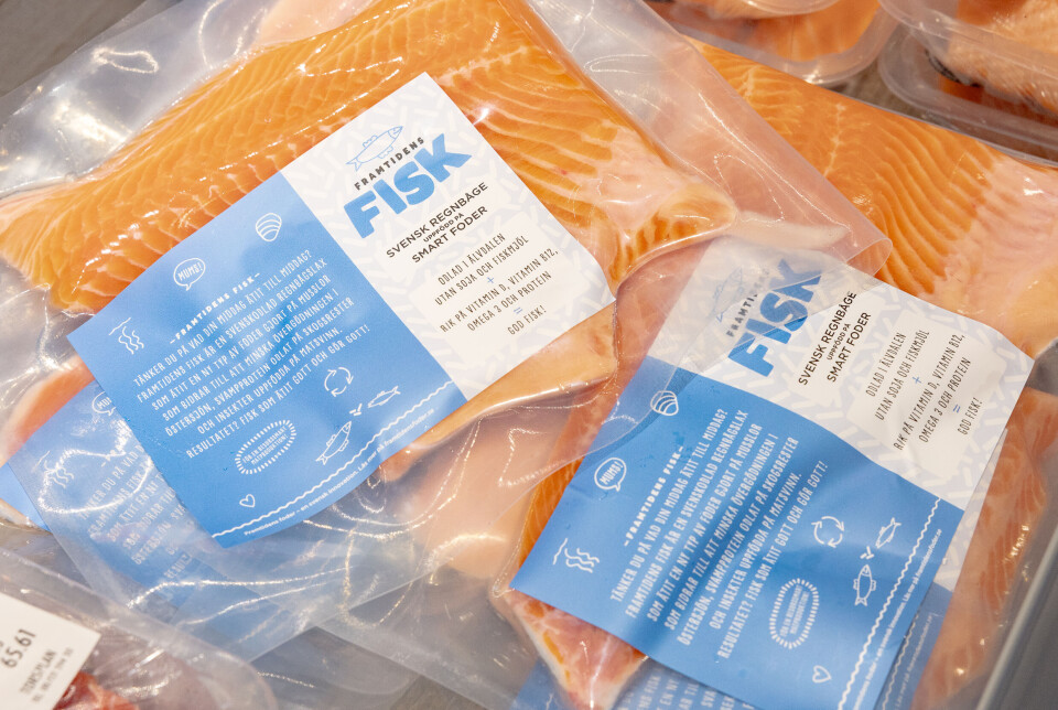 «Fremtidens fisk» laget på mykoprotein fra Cirkulär er nå til salgs.