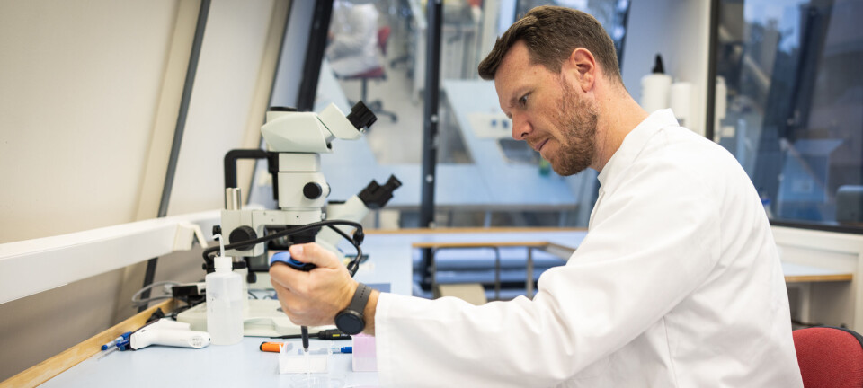 Fra mikroalger og energi til landbasert oppdrett