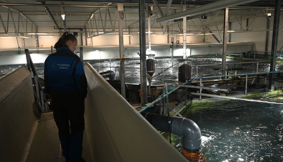 AKVA group har levert alle tidligere postsmoltmoduler til Tytlandsvik Aqua.