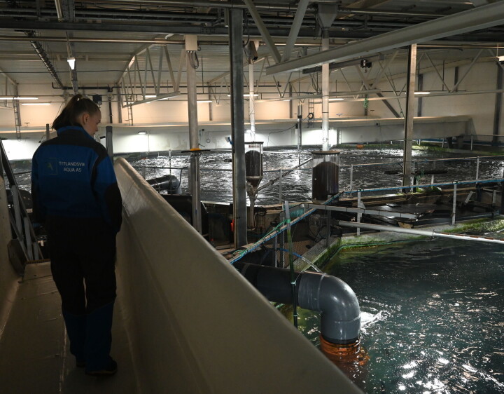 Fikk RAS-kontrakt til 200 millioner kroner