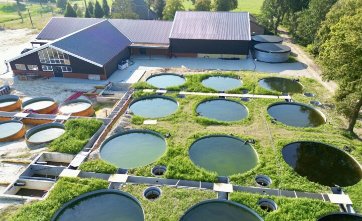 Fra grisefarm til landbasert laks