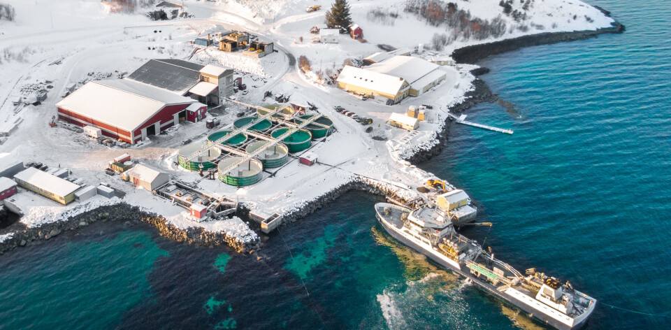 Mowi-exit ga inntektssvikt