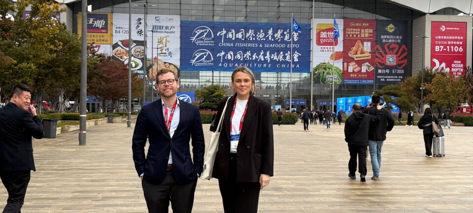 Kineserne får smaken på norsk oppdrettstorsk