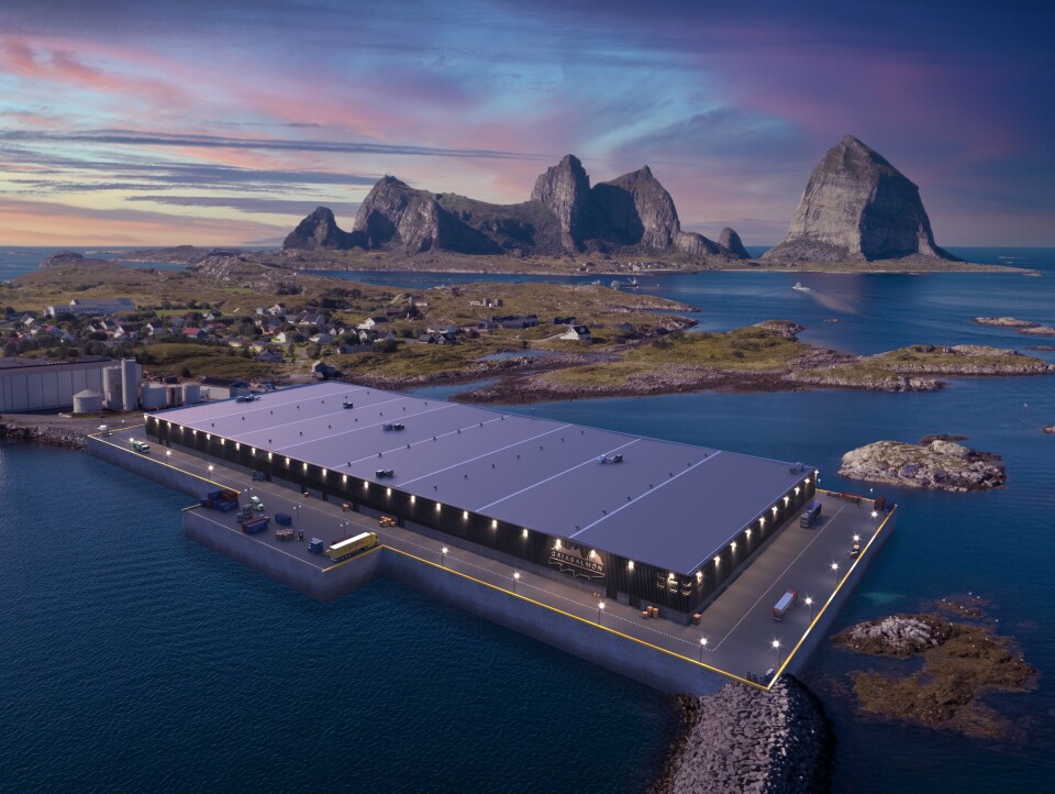 Illustrasjonsfoto av det planlagte anlegget til Gaia Salmon. Skisse: Gaia Salmon.