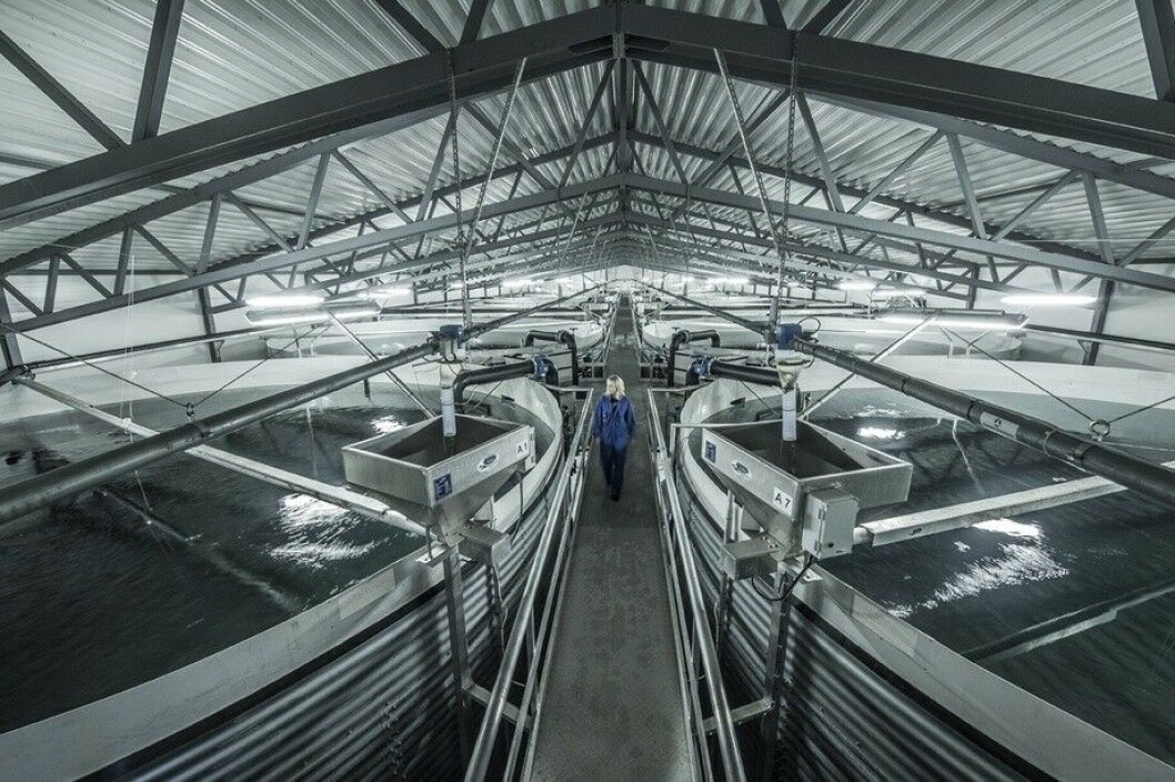 Illustrasjonsfoto: Akva Group. Illustrasjonsfoto: Akva Group.