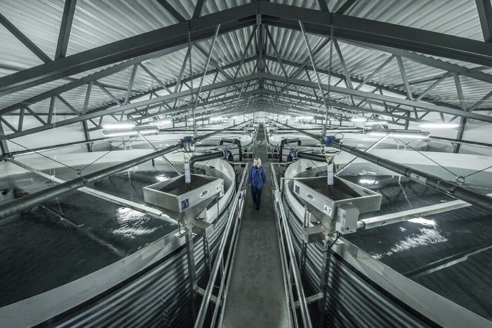 Illustrasjonsfoto: Akva Group. Illustrasjonsfoto: Akva Group.