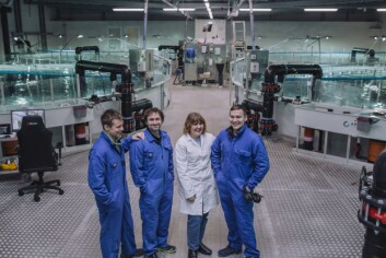 I Norge produserer Cermaq om lag 20 millioner settefisk per år. Ved Cermaq Norge Forsan anlegget har de kar med gjenbruk av vann og CO2-lufting. Ansatte i settefiskavdelingen i Cermaq Norge: F.v: Kristian Kråkmo Bygdås, Jonas Pettersen, Marit Mehus og Jonas Stenersen. Foto Karoline O A Pettersen I Norge produserer Cermaq om lag 20 millioner settefisk per år. Ved Cermaq Norge Forsan anlegget har de kar med gjenbruk av vann og CO2-lufting. Ansatte i settefiskavdelingen i Cermaq Norge: F.v: Kristian Kråkmo Bygdås, Jonas Pettersen, Marit Mehus og Jonas Stenersen. Foto Karoline O A Pettersen