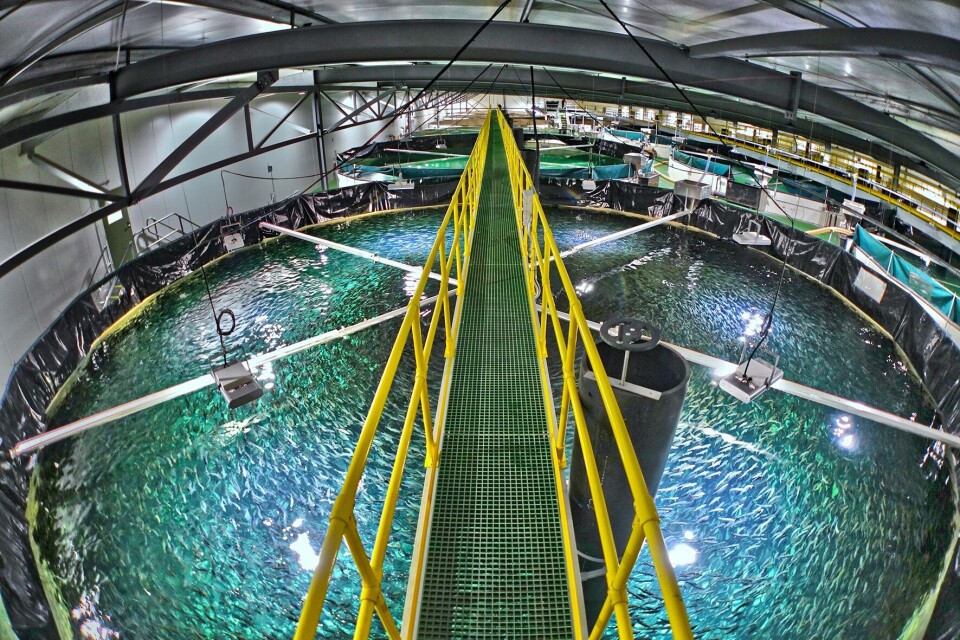 Foto: Billund Aquaculture Foto: Billund Aquaculture