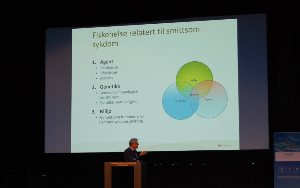 Rønningen under Tekset 2019. Foto: Harrieth Lundberg