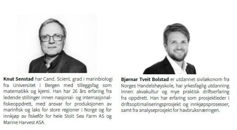 Artikkelforfattere er Knut Senstad og Bjørnar Tveit Bolstad fra Inventura. Klikk for større.