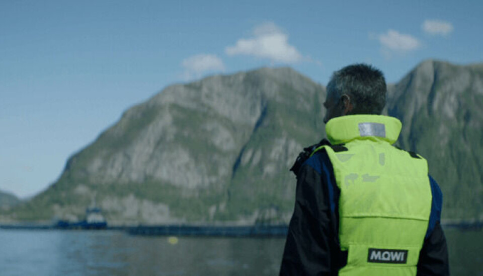 Mowi får gebyr på 16,3 millioner kroner. Illustrasjonsfoto: Mowi. Mowi får gebyr på 16,3 millioner kroner. Illustrasjonsfoto: Mowi.
