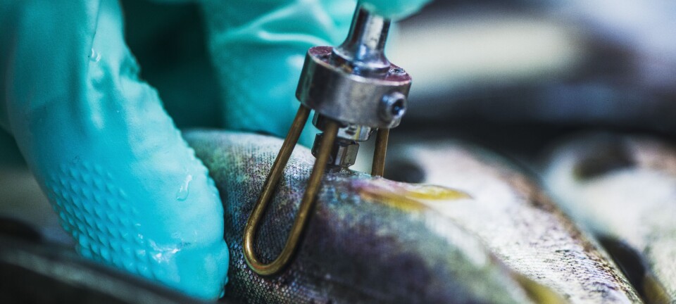 Et paradigmeskiftet innen vaksineteknologi