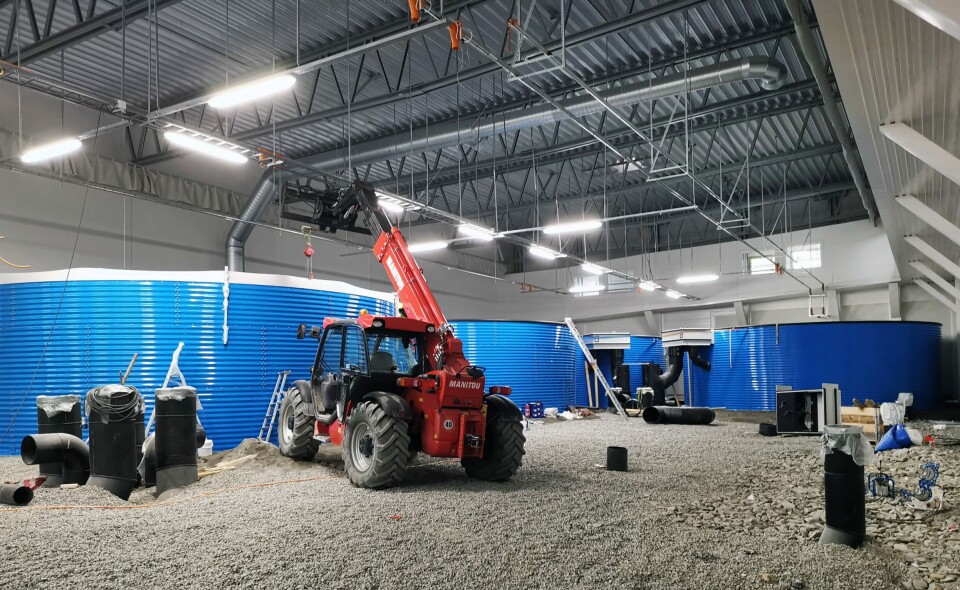 Svaberget Smolt begynner virkelig å ta form og arbeidet både inne og ute pågår for fullt. Foto: SinkabergHansen. Svaberget Smolt begynner virkelig å ta form og arbeidet både inne og ute pågår for fullt. Foto: SinkabergHansen.