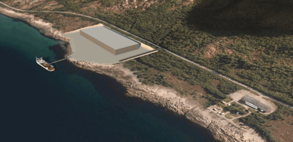 Aquaculture Innovation har lagt 10 millioner kroner inn som en kapitalutvidelse i Helgeland Miljøfisk, for å sikre en god framdrift i planleggingsfasen for det landbaserte oppdrettsanlegget på Toft. Foto: Aquaculture Innovation.