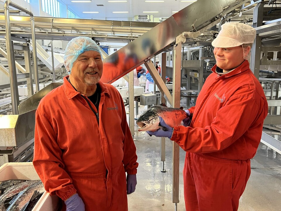 Fra venstre: Geir Johannessen, daglig leder i Havlandet Ras Pilot, sammen med Fredrik Grahl Jacobsen, driftssjef i Havlandet Ras Pilot. Den landbaserte laksen veide 4,2 kilo under slakting. Foto: Ole Andreas Drønen Fra venstre: Geir Johannessen, daglig leder i Havlandet Ras Pilot, sammen med Fredrik Grahl Jacobsen, driftssjef i Havlandet Ras Pilot. Den landbaserte laksen veide 4,2 kilo under slakting. Foto: Ole Andreas Drønen