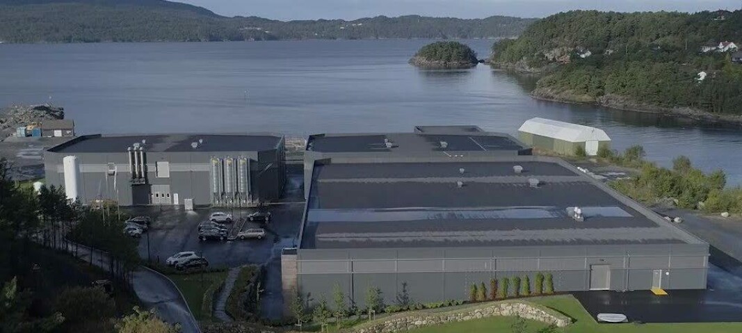 Den Stord-baserte bedriften Erko Settefisk produserer om lag fire millioner smolt årlig, der størrelsen varierer fra 300 til 600 gram. Den Stord-baserte bedriften Erko Settefisk produserer om lag fire millioner smolt årlig, der størrelsen varierer fra 300 til 600 gram.