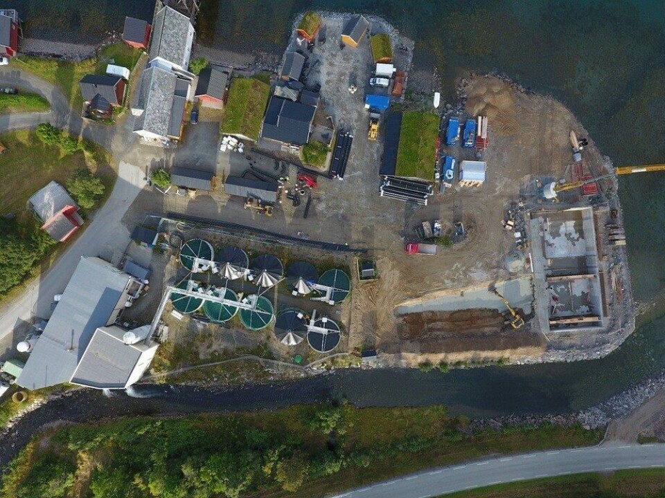 Dronefoto over smoltanlegget. Foto: Astafjord Smolt.