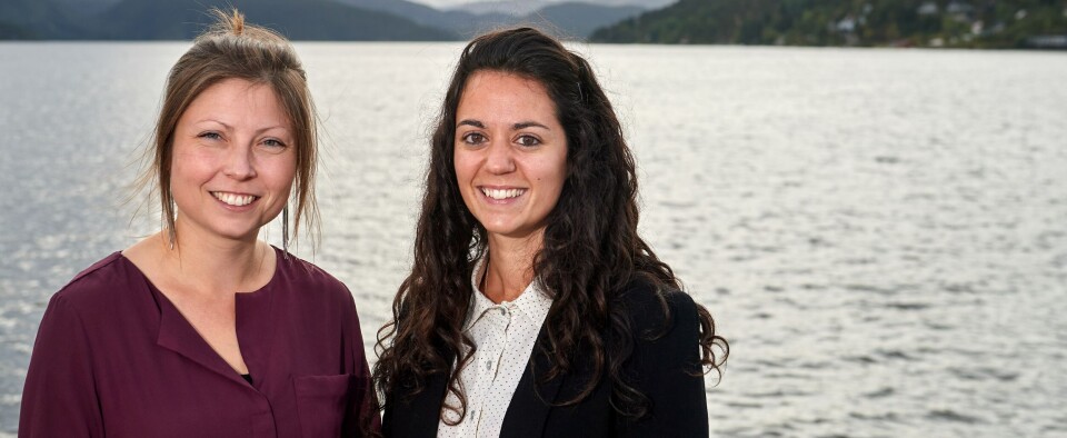 Christine Klykken og Lauris Boissonnot forsker på nedsatt nyrefunksjon hos fisk. Foto: Bjørn Tore Ness.