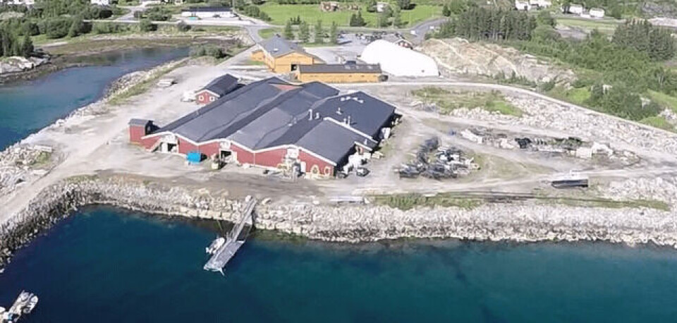 Forsøkene i studien ble utført ved Ecomarins anlegg på Dønna. Foto: Per Kristian Nordøy/Ecomarin. Forsøkene i studien ble utført ved Ecomarins anlegg på Dønna. Foto: Per Kristian Nordøy/Ecomarin.