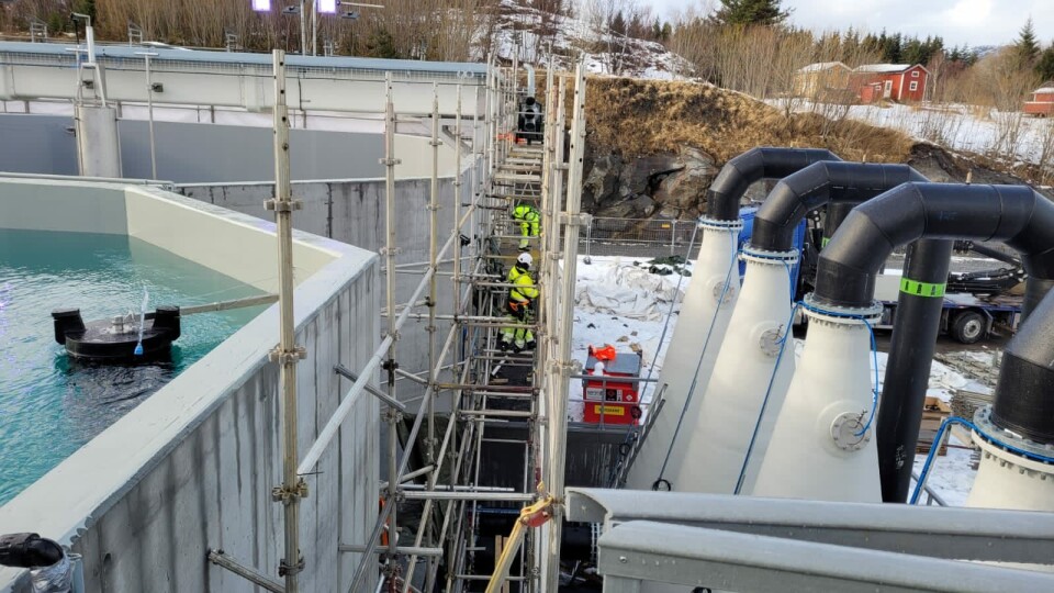 Eyvi i Sandefjord har siden oppstarten for to år siden fokusert på å levere RAS-løsninger for landbaserte matfisk og smoltanlegg. Her er et av deres prosjekter. Foto: Eyvi.