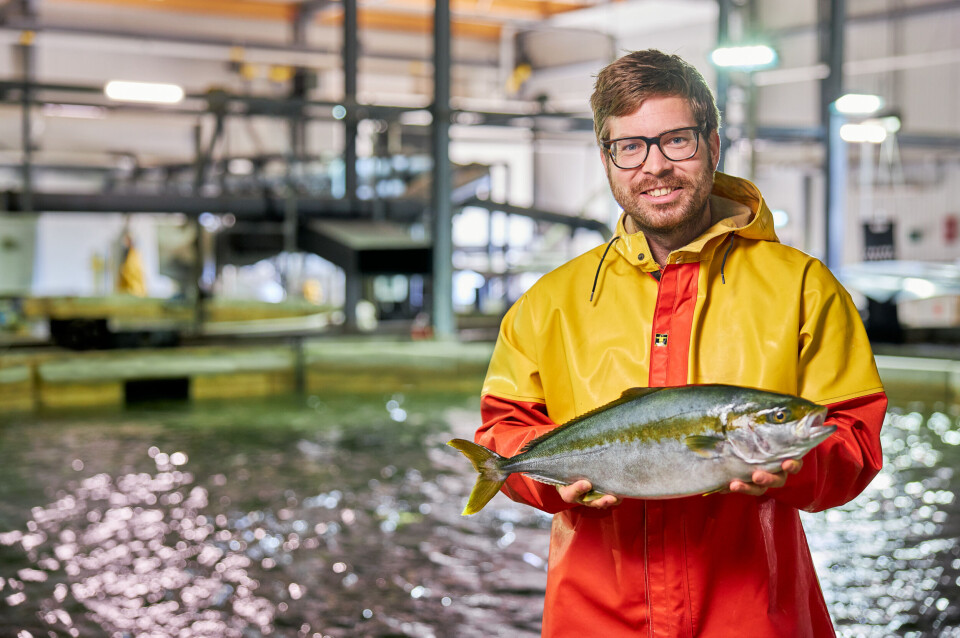 Produksjonssjef i Kingfish Zeeland, Bram Rohaan, legger vekt på at skånsom fôrtransport og jevn tildeling av fôr til fisken er viktig. Her viser han frem en yellowtail kingfish, som er arten de produserer. Foto: Mees van den Ekart/Kingfish Zeeland