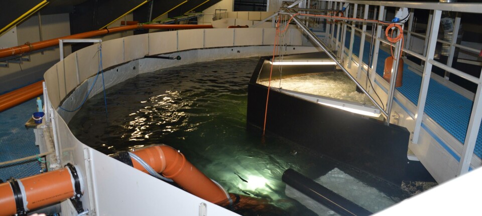 Dette skal FHF prioritere i landbasert forskning