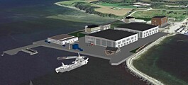 Vikingbase Smolt AS går inn som ny aksjonær i Salmon Group