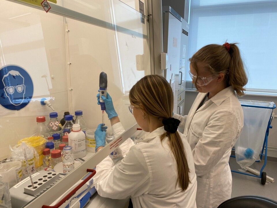 Studentene har som mål å utarbeide en biosensor som er rimeligere enn eksisterende systemer. Fra venstre: Victoria Nilsen Gjøvaag, Kristine Lippestad. Studentene har som mål å utarbeide en biosensor som er rimeligere enn eksisterende systemer. Fra venstre: Victoria Nilsen Gjøvaag, Kristine Lippestad.