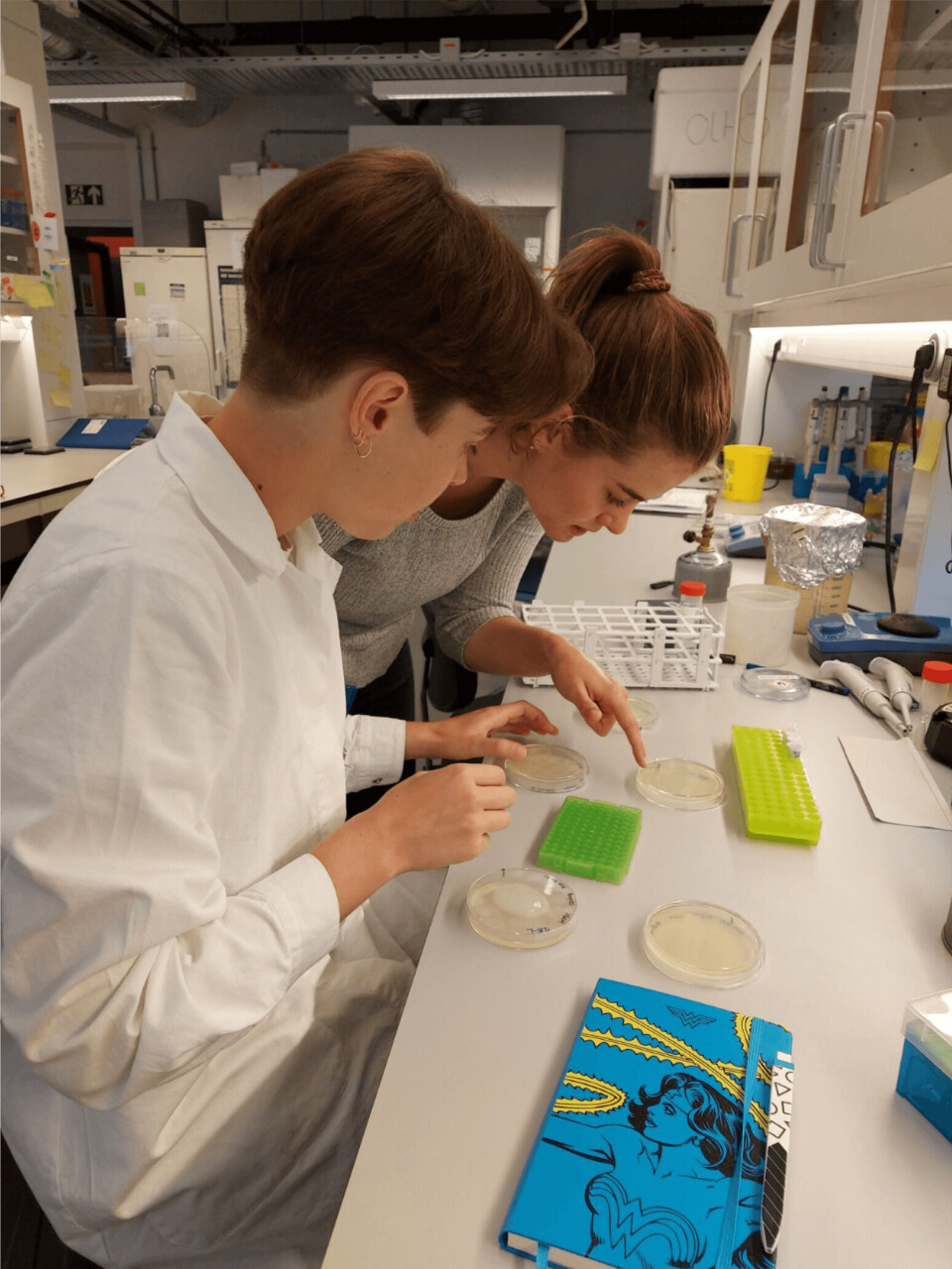 Dersom det hadde vært mulig å overvåke H2S selv ved svært lave nivåer, mener studentene man kunne iverksatt forebyggende tiltak før konsentrasjonene blir giftige for fisken. Fra venstre: Andrea Stallvik, Tina Dahlgren. Dersom det hadde vært mulig å overvåke H2S selv ved svært lave nivåer, mener studentene man kunne iverksatt forebyggende tiltak før konsentrasjonene blir giftige for fisken. Fra venstre: Andrea Stallvik, Tina Dahlgren.