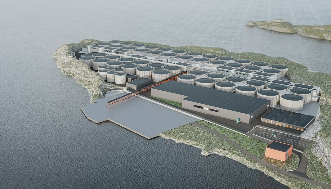 Illustrasjon av Salmon Evolutions anlegg på Indre Harøy, fullt utbygget. Illustrasjon av Salmon Evolutions anlegg på Indre Harøy, fullt utbygget.