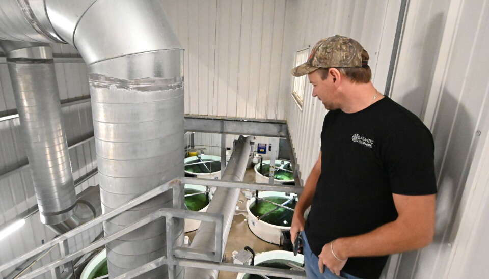 Johan E. Andreassen ser behovet for å kjøle vannet ytterligere..