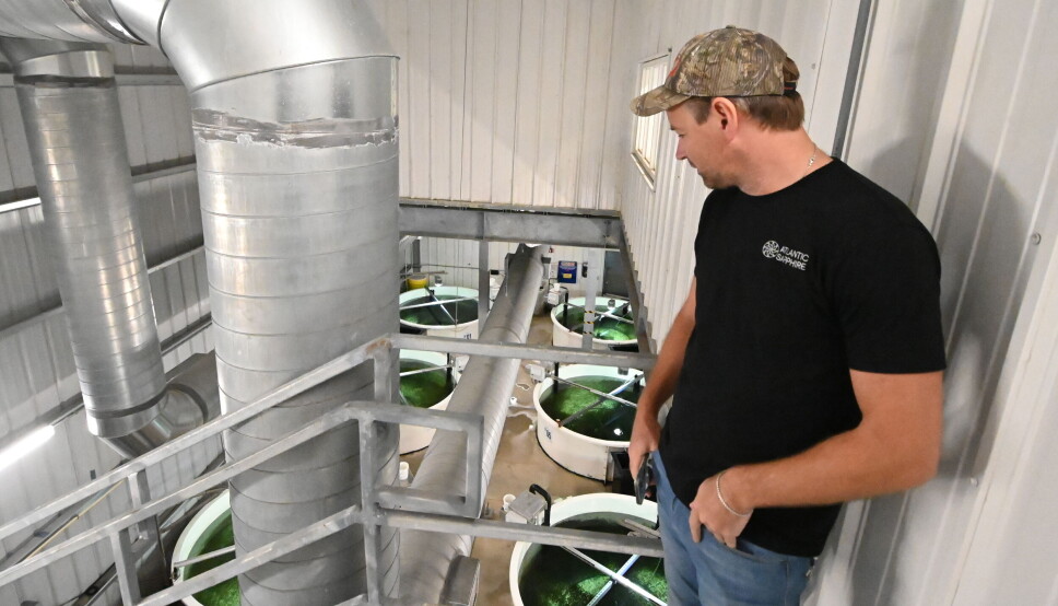 Johan E. Andreassen ser ned i startfôringshallen der laksen lever sine første måneder. Atlantic Sapphire