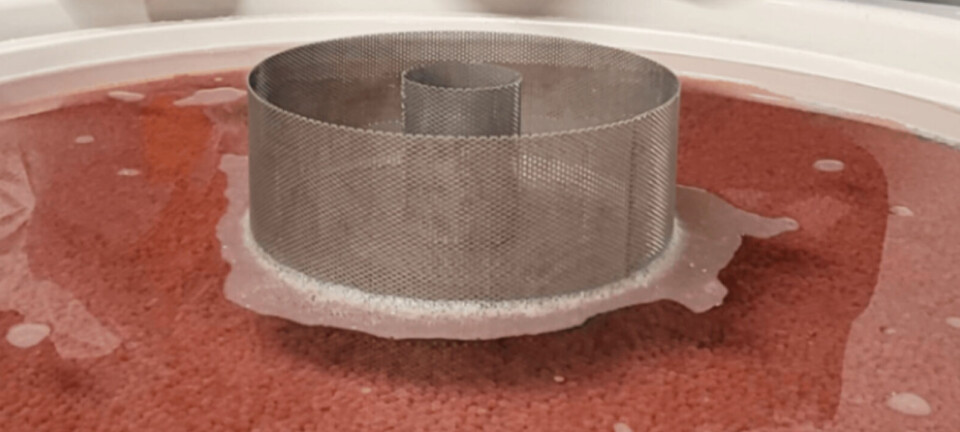 Fyrste rogn satt inn hos Ænes Inkubator