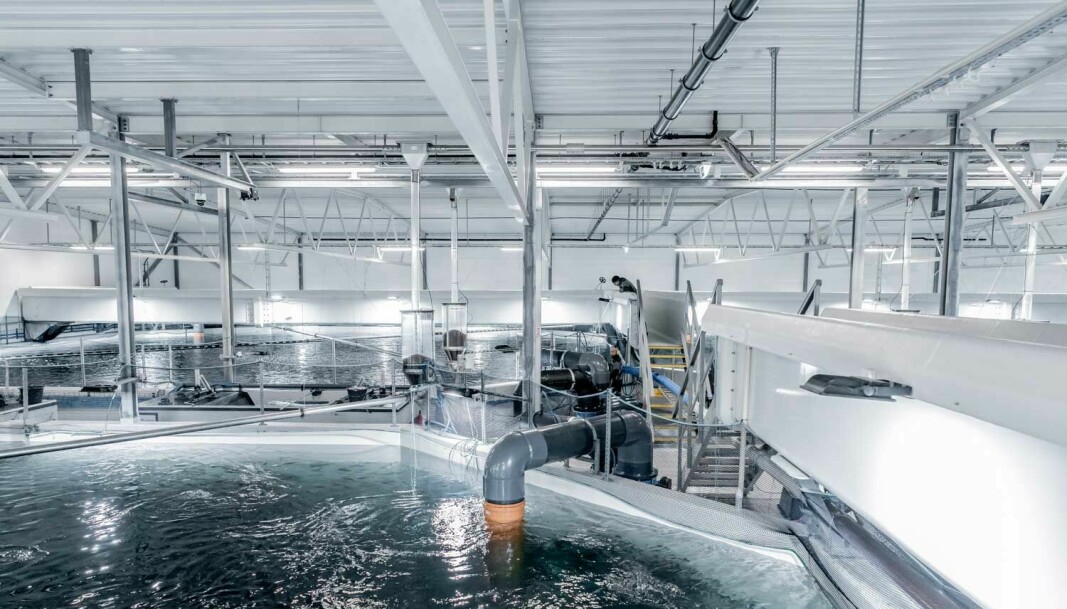 Første byggetrinn ble ferdig hos Tytlandsvik Aqua i 2019, bare fem år etter at ideen om selskapet startet.