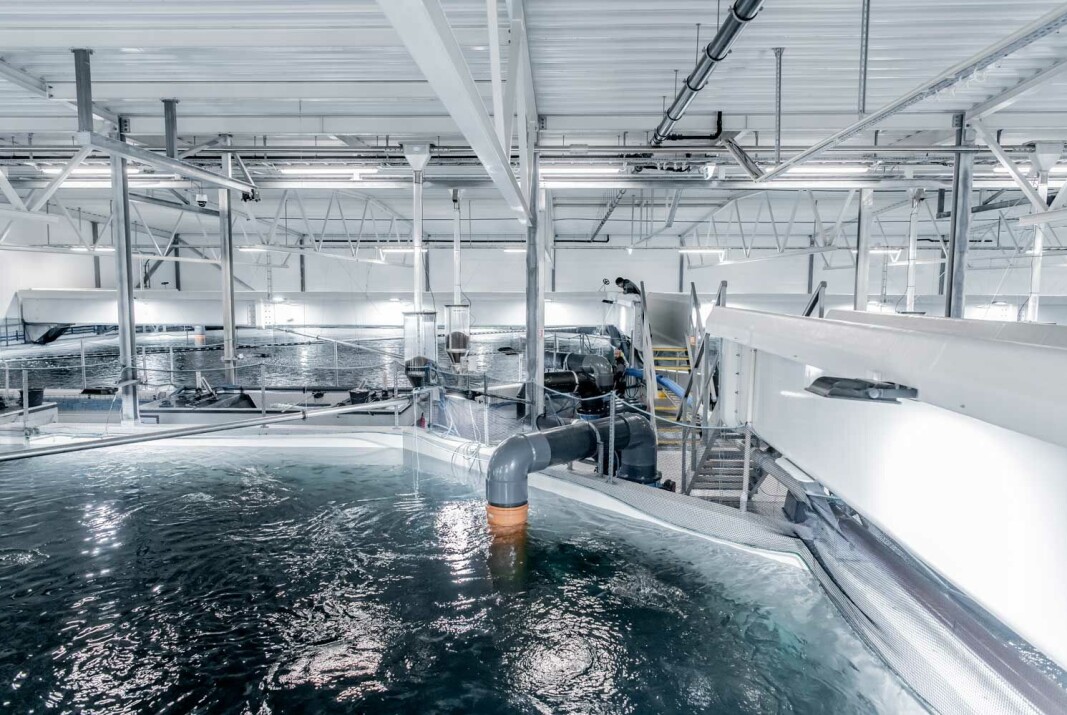 AKVA group mener det skal produseres 300 000 tonn med smolt de neste ti årene. AKVA group mener det skal produseres 300 000 tonn med smolt de neste ti årene.