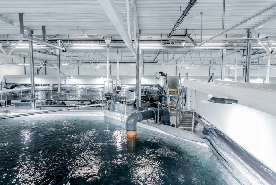 AKVA group mener det skal produseres 300 000 tonn med smolt de neste ti årene. AKVA group mener det skal produseres 300 000 tonn med smolt de neste ti årene.