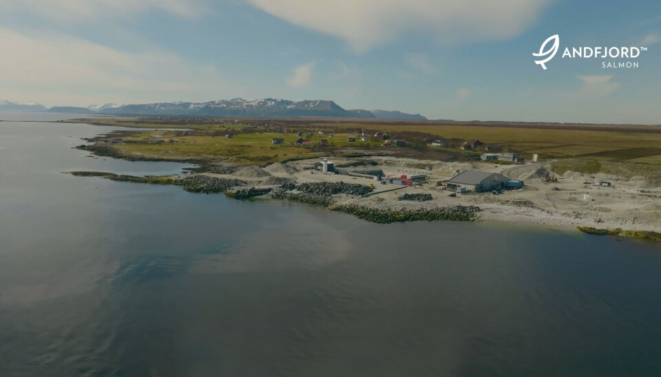 Andfjord Salmon markedsfører seg tungt sin bærekraftsprofil. Det har det portugisiske mat-konsernet likt godt.