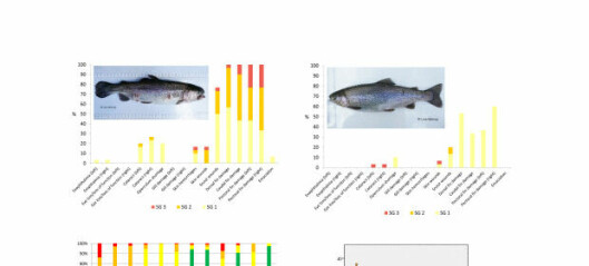 Evaluerings­indeks for fiske­velferd (fWEI) basert på ytre morfologiske skader for regnbue­ørret i gjennom­strømmings­systemer