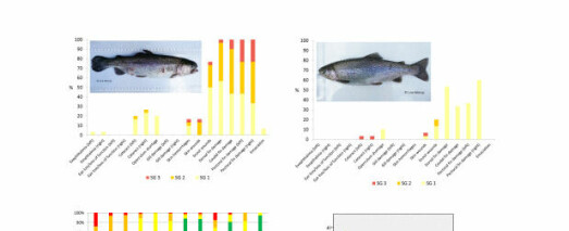 Evaluerings­indeks for fiske­velferd (fWEI) basert på ytre morfologiske skader for regnbue­ørret i gjennom­strømmings­systemer
