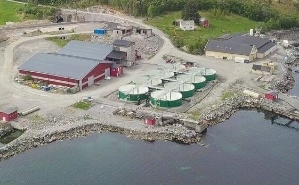 Får tillatelse til settefiskproduksjon